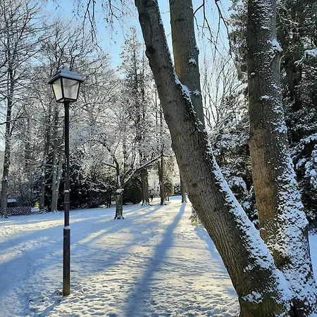Daire Alexandras Herzstueck